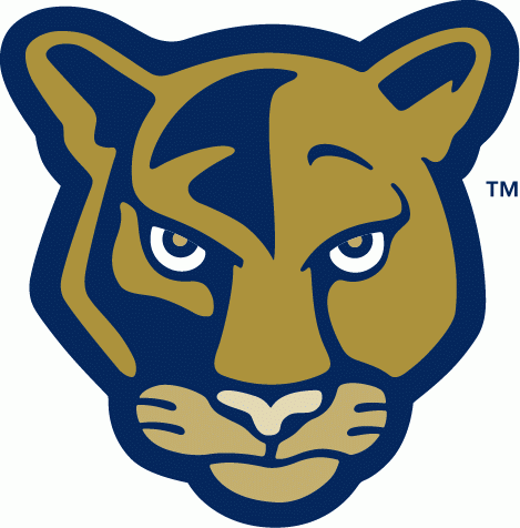 FIU Panthers 2001-2008 Alternate Logo v2 diy DTF decal sticker